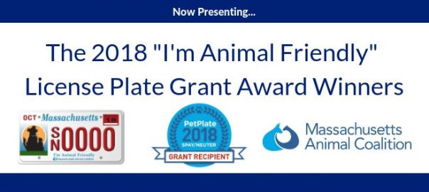 2018-license-plate-grant-award-winners